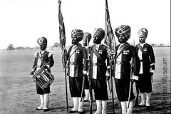 45thbengalinfcolour