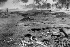 Convoy-of-Muslims-streaming-past-the-dead-of-a-previous-caravan-and-the-whitened-bones-of-their-buffaloes.