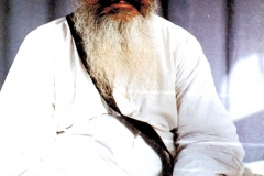 SANT-HARCHARAN-SINGH-LONGOWAL-JI-35