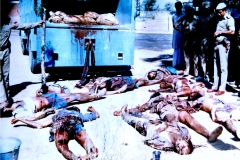 907BA05A-F079-458A-8684-38B5685B9674-1-dragged