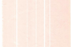 CCF04152020_0043