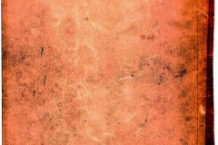 CCF04152020_0065