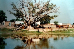 DSC06131