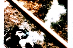 7292C459-C76B-4BE8-B9A3-AE767FF99578