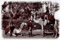 punjab-police-1900