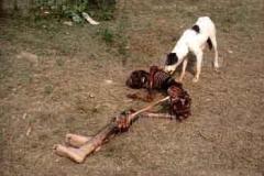 GENOCIDE