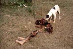 GENOCIDE