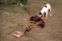02-1984bodydogdelhiriots