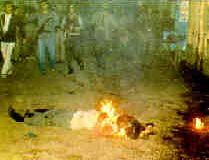 delhi1