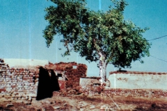 CCF06022019_0137