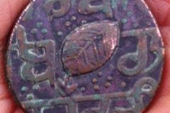 155972d1326644598-imag0627u