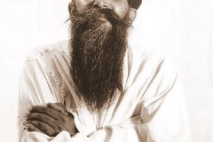 USBAINS1947