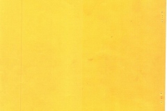 CCF07212020_0047