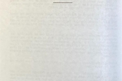 80